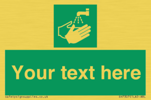 SH7307: Custom Safe Condition Hand washing facility