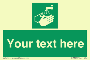 SH7307: Custom Safe Condition Hand washing facility