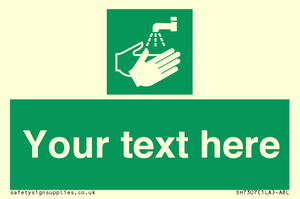 SH7307: Custom Safe Condition Hand washing facility