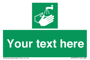 SH7307: Custom Safe Condition Hand washing facility