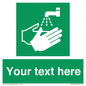 SH7307: Custom Safe Condition Hand washing facility