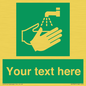SH7307: Custom Safe Condition Hand washing facility