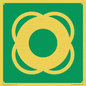 SL11653: E040 safe condition lifebuoy