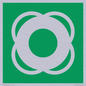 SL11653: E040 safe condition lifebuoy