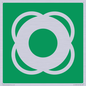 SL11653: E040 safe condition lifebuoy