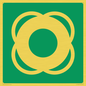 SL11653: E040 safe condition lifebuoy