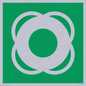 SL11653: E040 safe condition lifebuoy