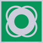 SL11653: E040 safe condition lifebuoy