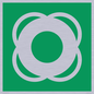 SL11653: E040 safe condition lifebuoy