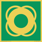 SL11653: E040 safe condition lifebuoy
