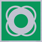 SL11653: E040 safe condition lifebuoy