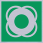 SL11653: E040 safe condition lifebuoy