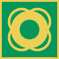 SL11653: E040 safe condition lifebuoy