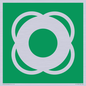 SL11653: E040 safe condition lifebuoy