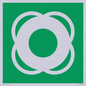 SL11653: E040 safe condition lifebuoy
