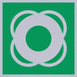 SL11653: E040 safe condition lifebuoy