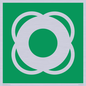 SL11653: E040 safe condition lifebuoy