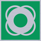 SL11653: E040 safe condition lifebuoy