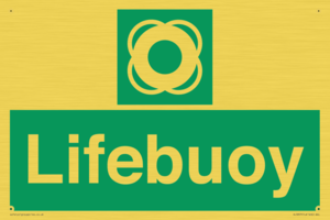 SL5857: Lifebuoy
