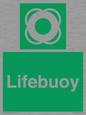 SL5857: Lifebuoy