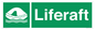 SL5866: Liferaft
