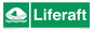 SL5866: Liferaft