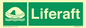 SL5866: Liferaft