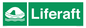SL5866: Liferaft