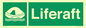 SL5866: Liferaft