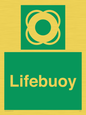 SL7251: Lifebuoy