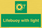 SL7253: Lifebuoy with light