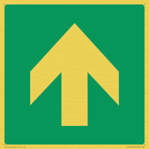 SV11723: E907 Safe condition: Up / forwards arrow (90 deg supplimentary)