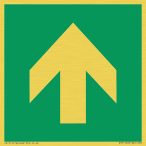 SV11723: E907 Safe condition: Up / forwards arrow (90 deg supplimentary)
