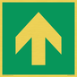 SV11723: E907 Safe condition: Up / forwards arrow (90 deg supplimentary)