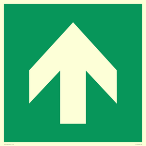 SV11723: E907 Safe condition: Up / forwards arrow (90 deg supplimentary)