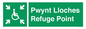 SV13234: Pwynt Lloches Refuge Point