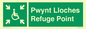 SV13234: Pwynt Lloches Refuge Point