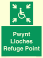 SV13234: Pwynt Lloches Refuge Point