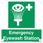 SV14709: Emergency Eyewash Station
