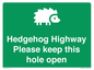SV16852: Hedgehog Highway - Please keep this hole open