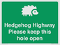 SV16852: Hedgehog Highway - Please keep this hole open