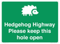 SV16852: Hedgehog Highway - Please keep this hole open