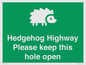 SV16852: Hedgehog Highway - Please keep this hole open
