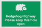 SV16852: Hedgehog Highway - Please keep this hole open