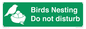 SV16915: Birds Nesting Do not disturb