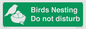 SV16915: Birds Nesting Do not disturb