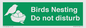 SV16915: Birds Nesting Do not disturb