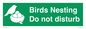 SV16915: Birds Nesting Do not disturb