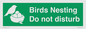 SV16915: Birds Nesting Do not disturb