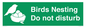 SV16915: Birds Nesting Do not disturb